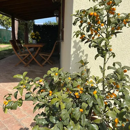 Bivio Di Punta Ala Сasa de vacaciones