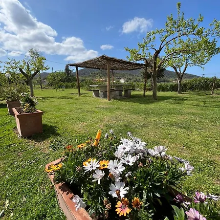 Bivio Di Punta Ala